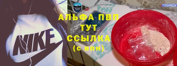 индика Алексеевка