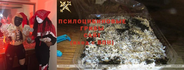 не бодяженный Алексин