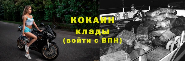 дмт Россошь