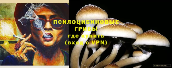 крисы Алзамай